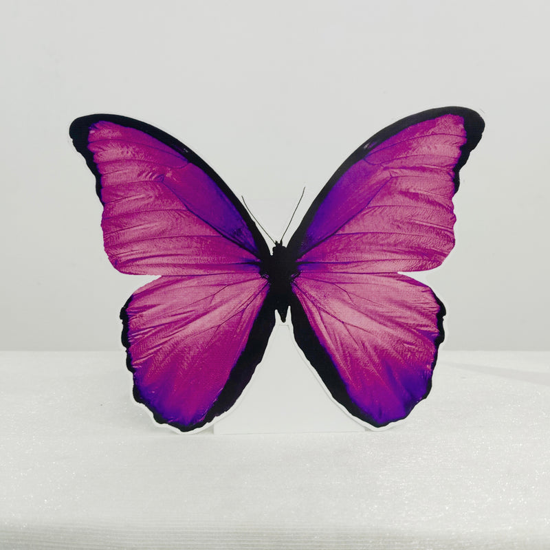 Butterfly 2