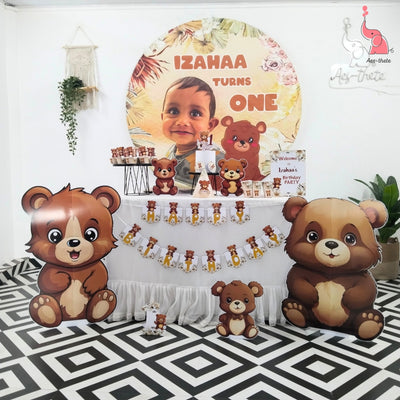 Teddy 12