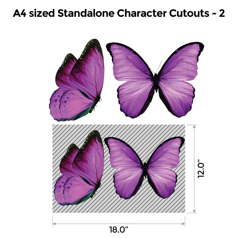 Butterfly Lavender Floral Popup Premium Package