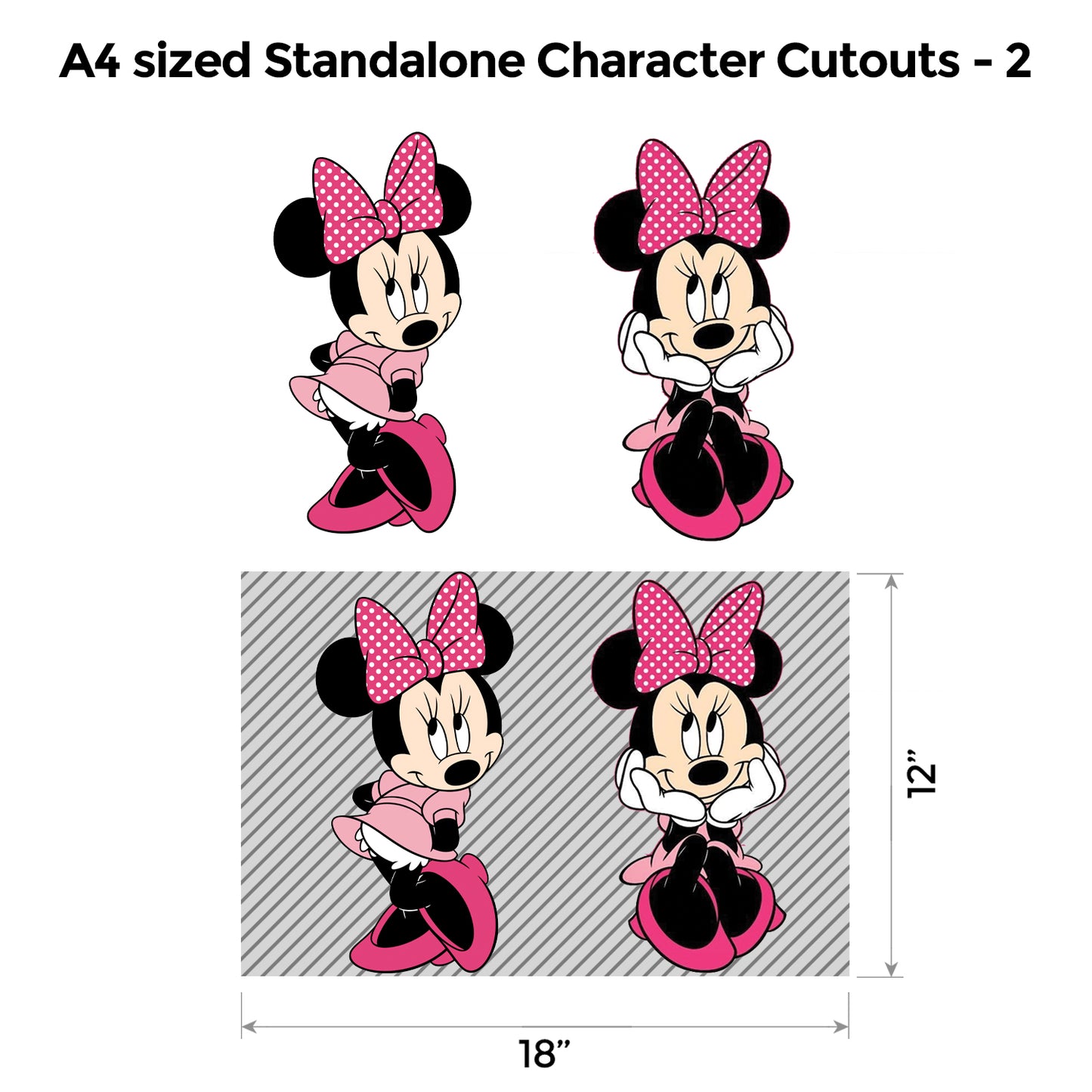 Minnie Mouse Pink Premium Package