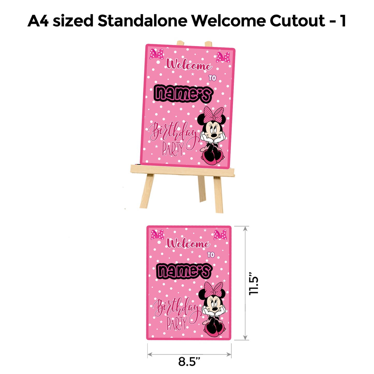 Minnie Mouse Pink Premium Package