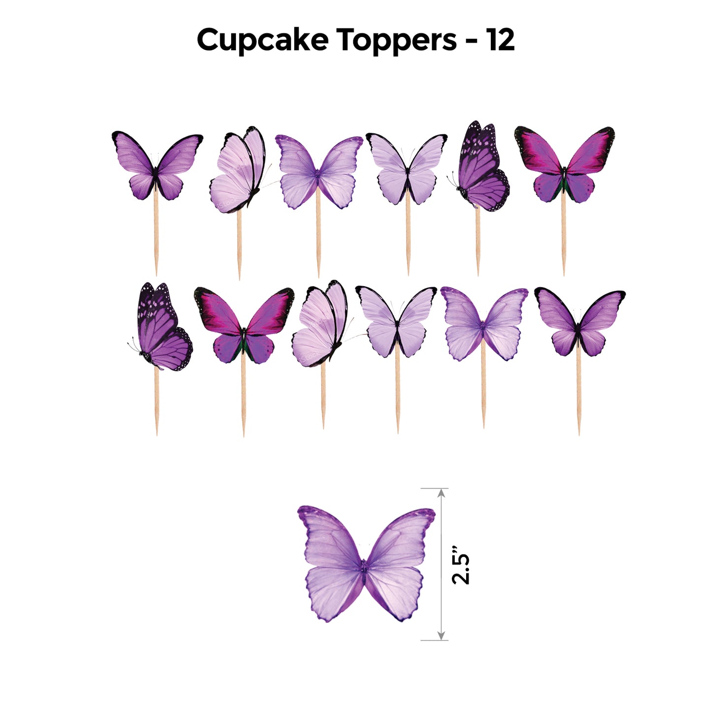 Butterfly Lavender Floral Popup Classic Package