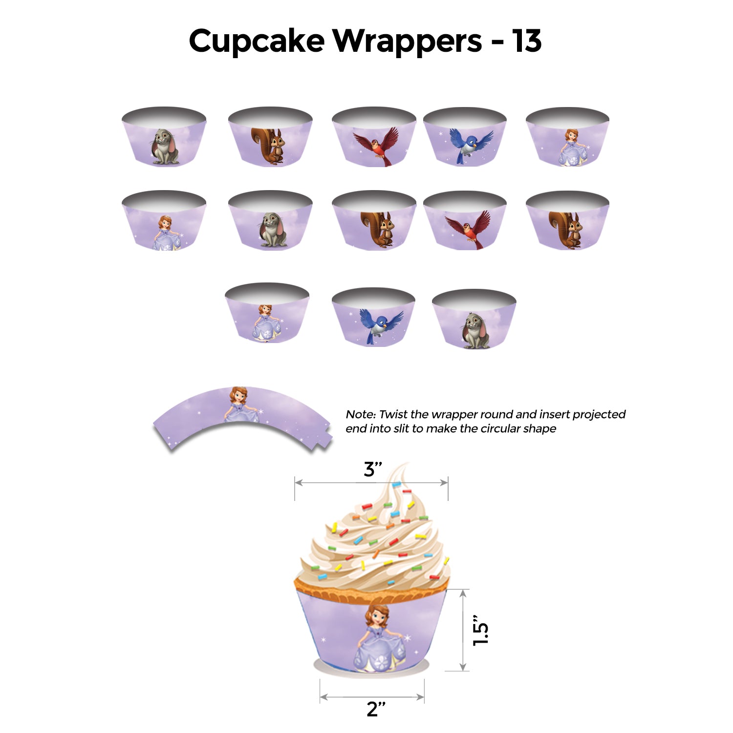 Princess Sofia Popup Luxury Package