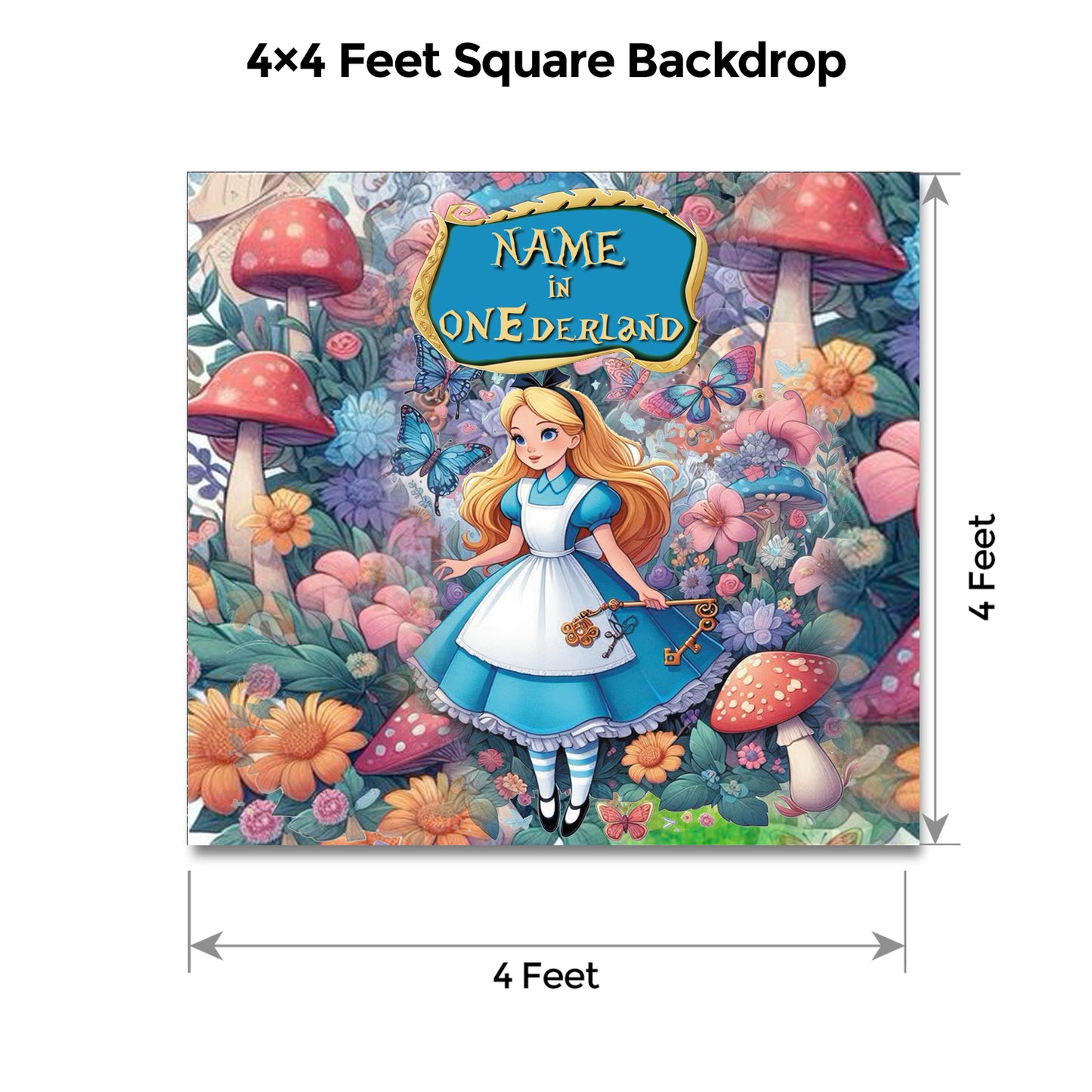 Alice In Wonderland Classic Package