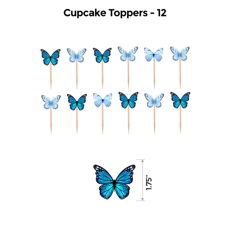 Butterfly Blue and Silver Classic Package