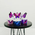Butterfly 2