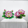 Lotus Popup Luxury Package