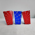 Spiderman Popup Premium Package